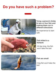 Fishing bait in pellet form, animal protein, fresh and moist