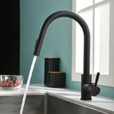 Flexible black cooking spaces, ribbed nozzle, stainless steel, hot and cold, 2 modes