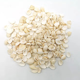 100 pieces 15MM natural conch shell material with hole for necklace, bracelet, earring, pendant accessories, DIY craft supplies, decorating