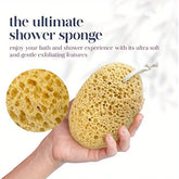 Éponge de bain aux algues naturelles, 1 pièce, avec Texture nid d'abeille, gommage corporel exfoliant doux pour tous les Types de peau, aucune électricité nécessaire