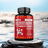 Suppléments Beta Ecdysterone et Turkesterone – Améliore l'endurance des exercices, augmente la masse musculaire et la masse musculaire magre