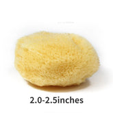 Natural Greek sponge watercolor painting, with absorbent sponge, wiping pen, cleaning tool for special texture production