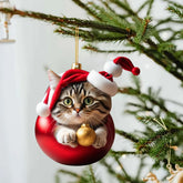 Modern Christmas decoration for home, car pendant, Christmas tree ornament, funny 2D acrylic cat ornament