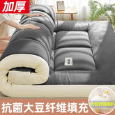 Soft domestic bed mattress, tatami, virus, virus, rents, special dormitory, student, single