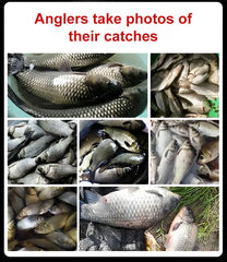 Fishing bait in pellet form, animal protein, fresh and moist