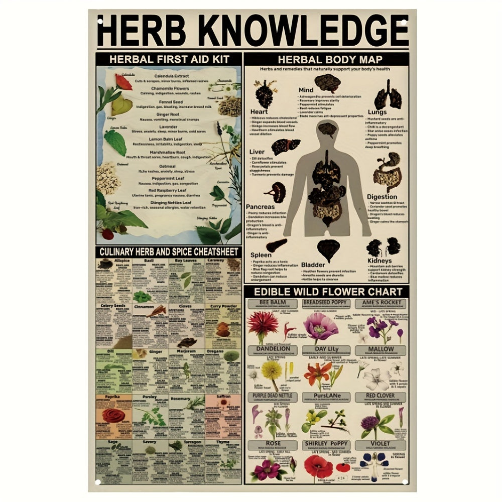 1pc, Herb Knowledge Aluminum Sign (8''X12''/20cm*30cm)Metal Sign, Herbal First Aid Kit Infographic Poster Pharmacist Study Guide Tin Plaque Home Pharmacy Office Kitchen Wall Decor (12''X16''/30cm*40cm)
