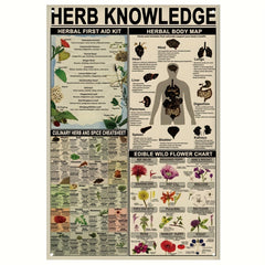 1pc, Herb Knowledge Aluminum Sign (8''X12''/20cm*30cm)Metal Sign, Herbal First Aid Kit Infographic Poster Pharmacist Study Guide Tin Plaque Home Pharmacy Office Kitchen Wall Decor (12''X16''/30cm*40cm)