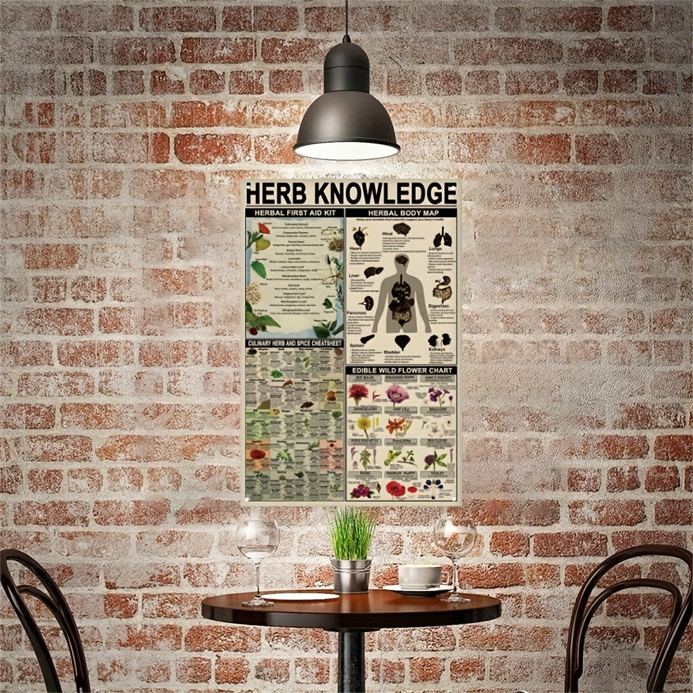1pc, Herb Knowledge Aluminum Sign (8''X12''/20cm*30cm)Metal Sign, Herbal First Aid Kit Infographic Poster Pharmacist Study Guide Tin Plaque Home Pharmacy Office Kitchen Wall Decor (12''X16''/30cm*40cm)