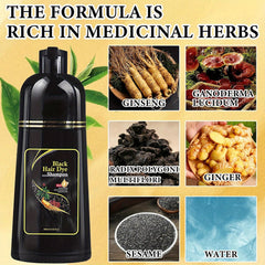 2pcs Black Hair Dye Shampoo 3 in 1 for Gray Hair Coverage Hair Color Shampoo for Men and Women, Herbal Hair Dye Shampoo, Instant Black Hair Shampoo Dye