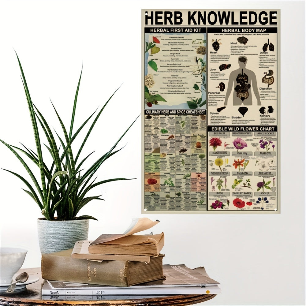 1pc, Herb Knowledge Aluminum Sign (8''X12''/20cm*30cm)Metal Sign, Herbal First Aid Kit Infographic Poster Pharmacist Study Guide Tin Plaque Home Pharmacy Office Kitchen Wall Decor (12''X16''/30cm*40cm)