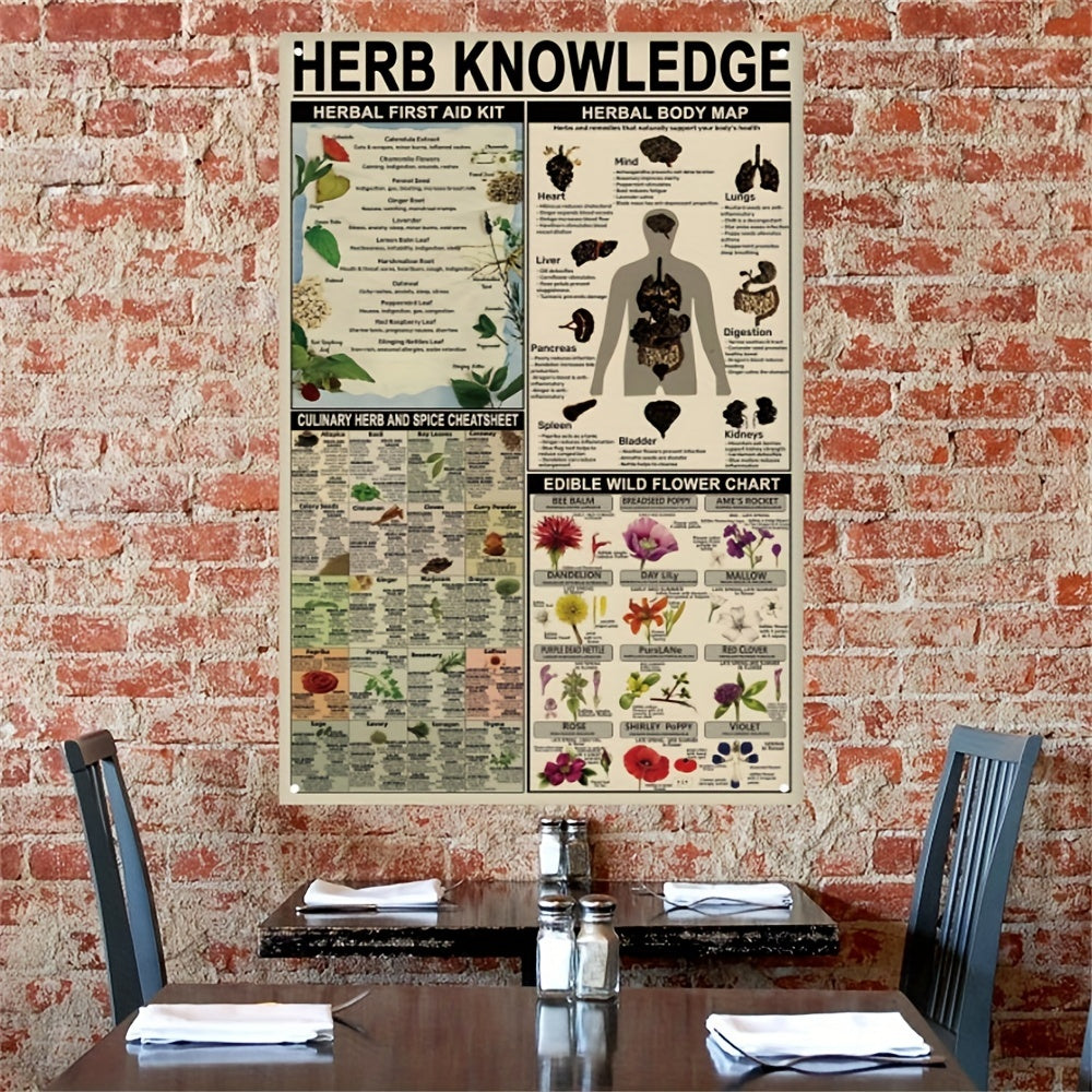 1pc, Herb Knowledge Aluminum Sign (8''X12''/20cm*30cm)Metal Sign, Herbal First Aid Kit Infographic Poster Pharmacist Study Guide Tin Plaque Home Pharmacy Office Kitchen Wall Decor (12''X16''/30cm*40cm)