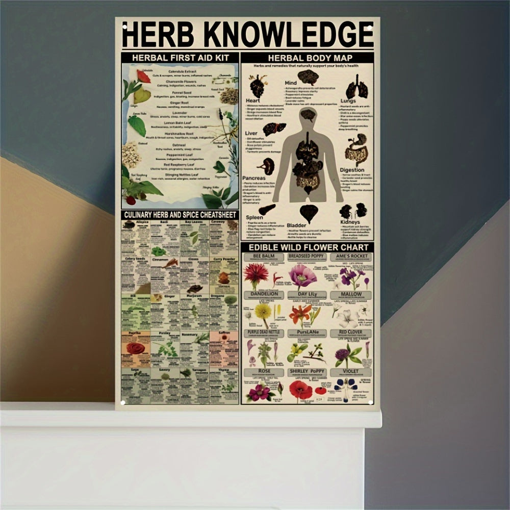 1pc, Herb Knowledge Aluminum Sign (8''X12''/20cm*30cm)Metal Sign, Herbal First Aid Kit Infographic Poster Pharmacist Study Guide Tin Plaque Home Pharmacy Office Kitchen Wall Decor (12''X16''/30cm*40cm)