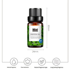 12 Bottles Aromatherapy Essential Oil Set - Relaxing Fragrance Collection for Diffuser & Humidifier, 100% Pure Liquid Essential Oils, Home Gift Set (Various Scented Oils)