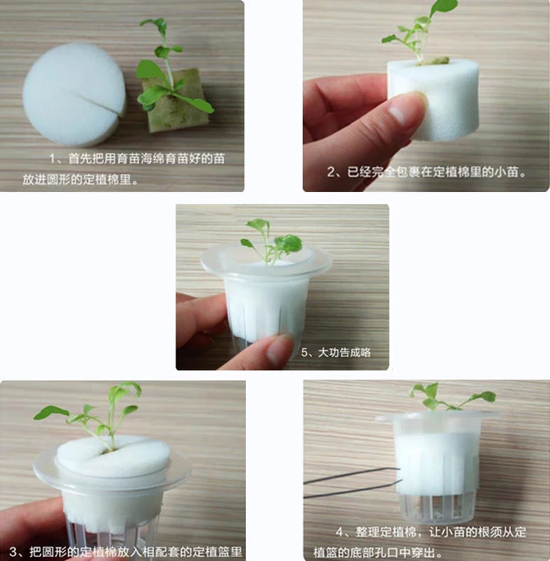 Éponge blanche pour paniers hydroponiques, 50 pièces, pour plantation de légumes de jardin, Pots de pépinière, plantes en mousse, racine K5
