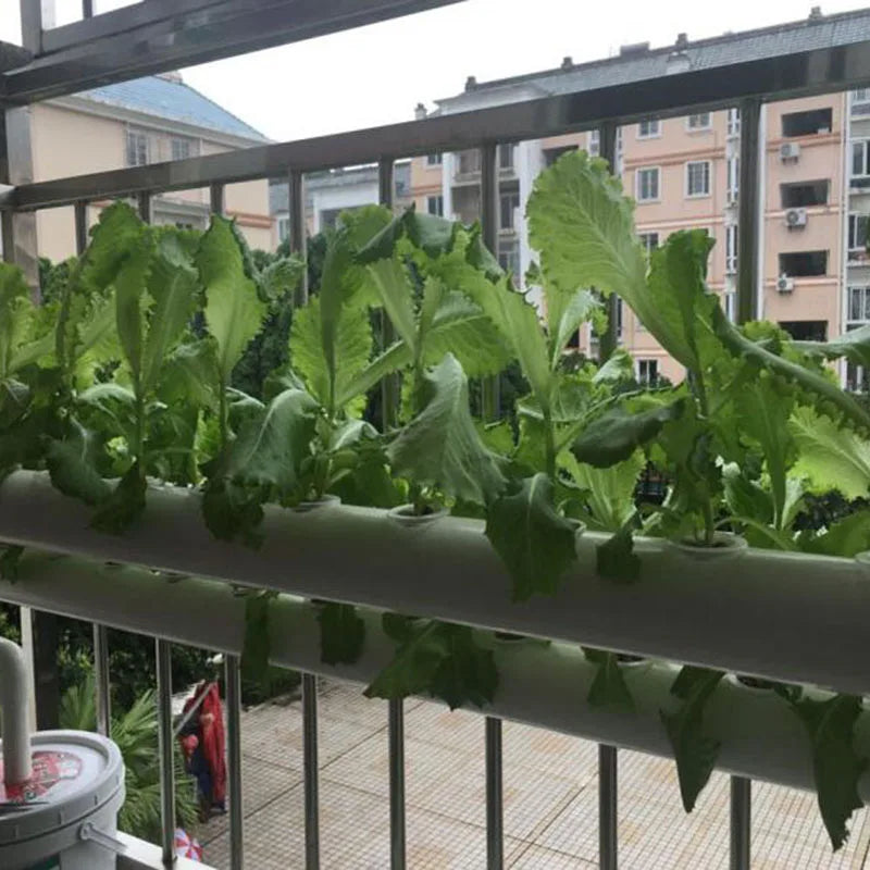 Éponge blanche pour paniers hydroponiques, 50 pièces, pour plantation de légumes de jardin, Pots de pépinière, plantes en mousse, racine K5