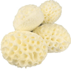 Éponge de Laine de Mer Naturelle, Fréquence de Remplacement, Dissolvant de Peau, Ohio eur Exexpansif, Pouf, Livres, Mousse de Douche, Lavage du Visage