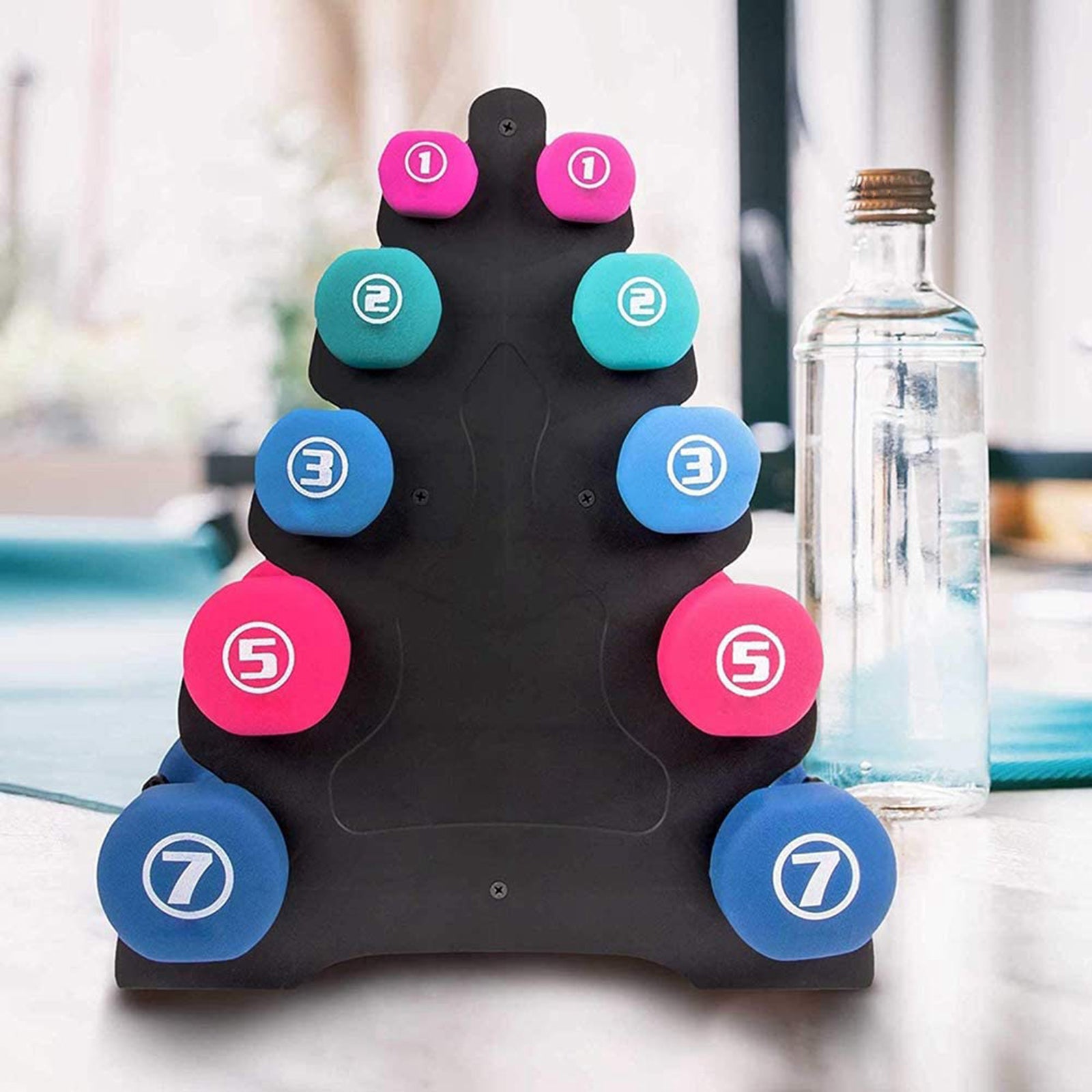 Support d'Haltères T1 à 5 Niveaux pour la Gym à Domicile, Accessoire Compact