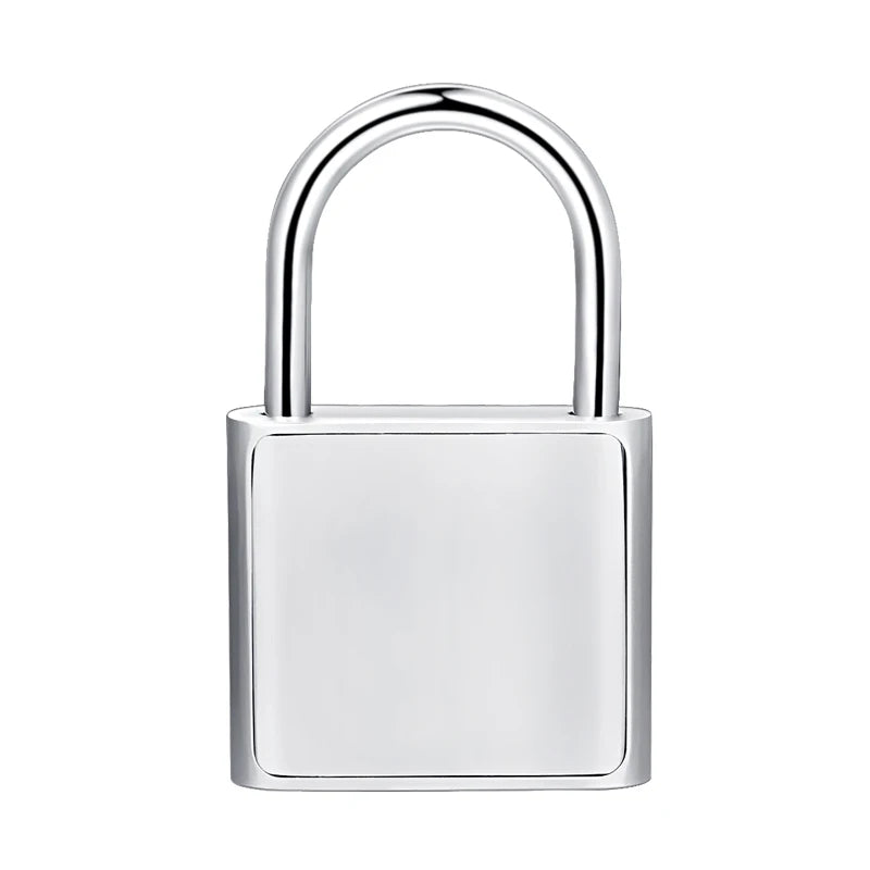 Serrure de porte sans clé aste USB, empreinte digitale, cadenas intelligent, déverrouillage rapide, alliage de zinc, métal, puce d'auto-développement, noir, argent