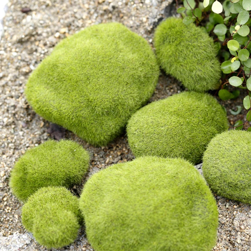 Mini pierres de mousse pour ferme de fourmis, 1 pièce, décoration écologique, nid de fourmi, accessoires, outil, Anthill pour maison de fourmi, décoration de Micro-paysage