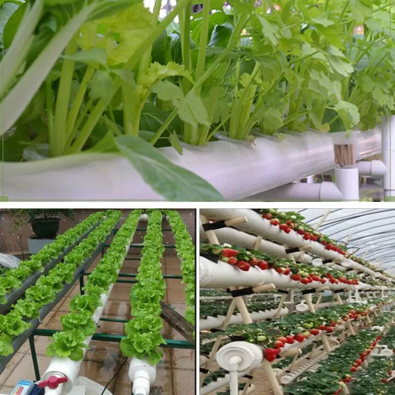 Éponge blanche pour paniers hydroponiques, 50 pièces, pour plantation de légumes de jardin, Pots de pépinière, plantes en mousse, racine K5