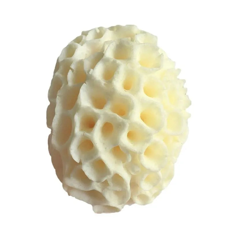Éponge de Laine de Mer Naturelle, Fréquence de Remplacement, Dissolvant de Peau, Ohio eur Exexpansif, Pouf, Livres, Mousse de Douche, Lavage du Visage