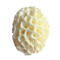 Éponge de Laine de Mer Naturelle, Fréquence de Remplacement, Dissolvant de Peau, Ohio eur Exexpansif, Pouf, Livres, Mousse de Douche, Lavage du Visage