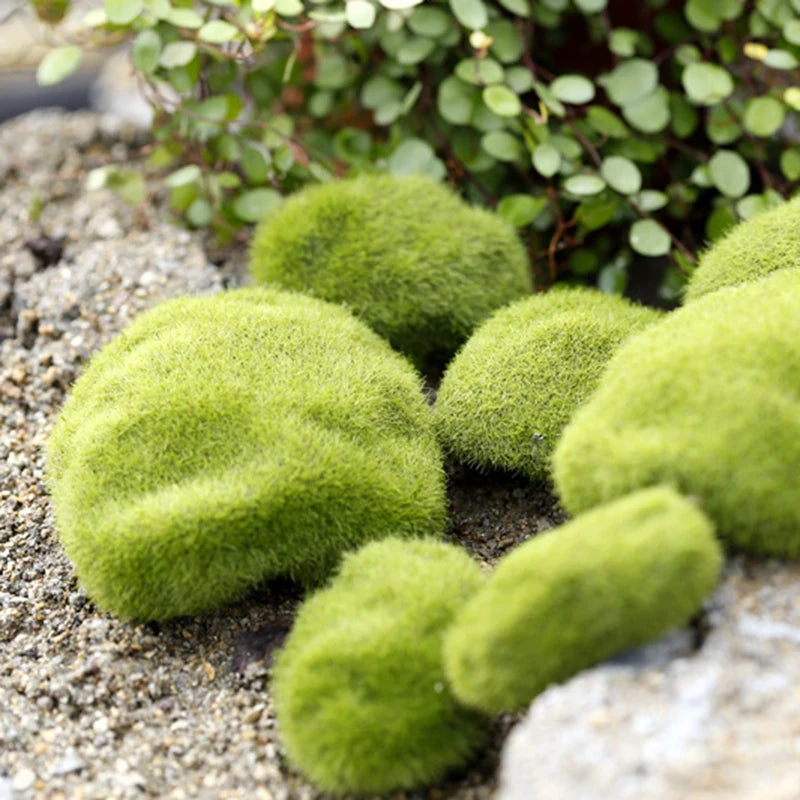 Mini pierres de mousse pour ferme de fourmis, 1 pièce, décoration écologique, nid de fourmi, accessoires, outil, Anthill pour maison de fourmi, décoration de Micro-paysage