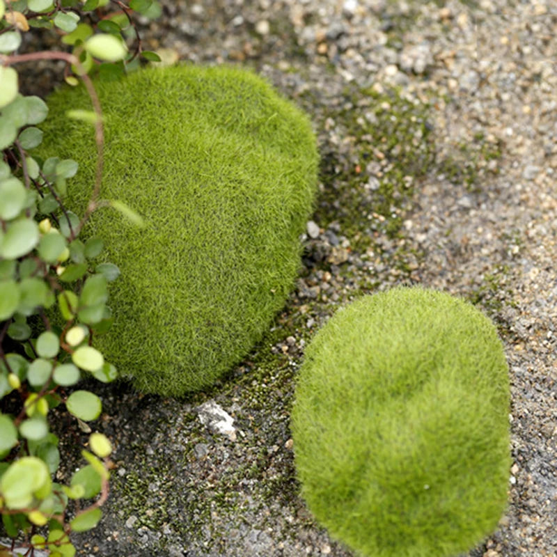 Mini pierres de mousse pour ferme de fourmis, 1 pièce, décoration écologique, nid de fourmi, accessoires, outil, Anthill pour maison de fourmi, décoration de Micro-paysage