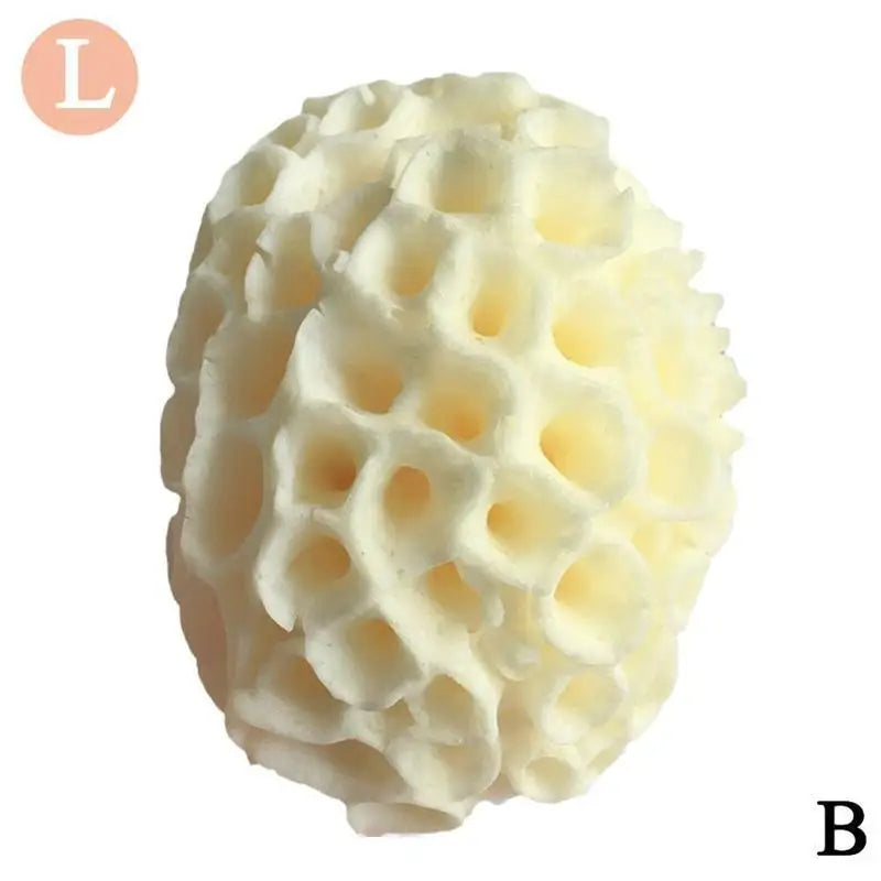 Éponge de Laine de Mer Naturelle, Fréquence de Remplacement, Dissolvant de Peau, Ohio eur Exexpansif, Pouf, Livres, Mousse de Douche, Lavage du Visage