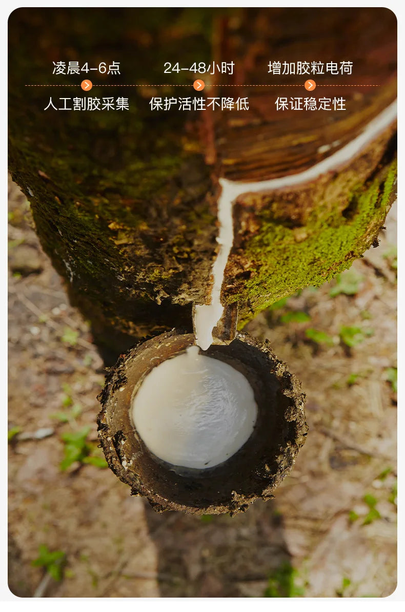 Matelas en Latex à mémoire de forme, pour usage domestique, lit Double simple Extra épais, pour dortoir d'étudiants, sol Tatami