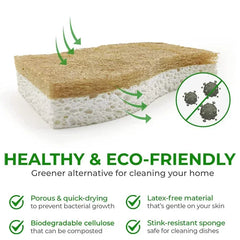 Éponges à récurer les plantes naturelles écologiques et éponge à récurer en noix de coco éponges naturelles pour la vaisselle accessoires de cuisine écologiques