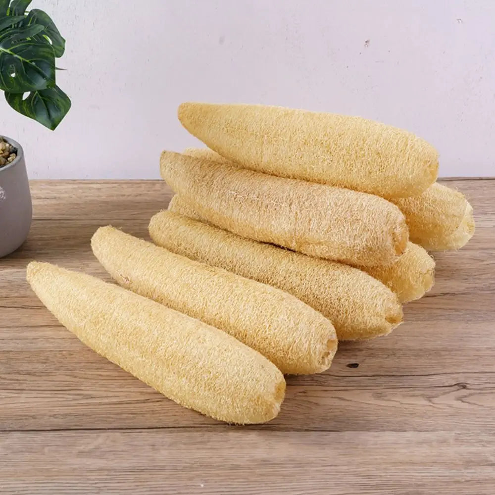 Éponge Luffa naturelle antiarina, bonne absorption, torchons de bain, éponge de douche Linge, plantation de pingouin long, luffa logique, cuisine