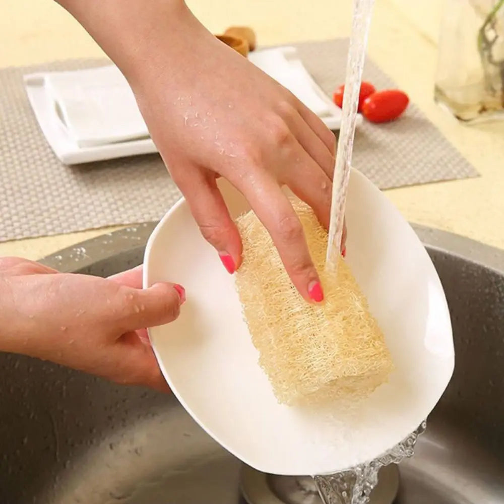 Éponge Luffa naturelle antiarina, bonne absorption, torchons de bain, éponge de douche Linge, plantation de pingouin long, luffa logique, cuisine
