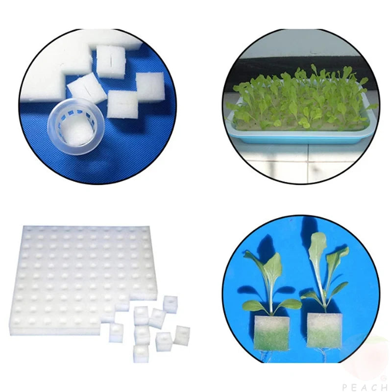 Éponge pour plantes hydroponiques, 100 pièces/feuille, culture de jardin, semis, Culture sans sol, outils de plantation, légumes, Pots de pépinière, plateaux