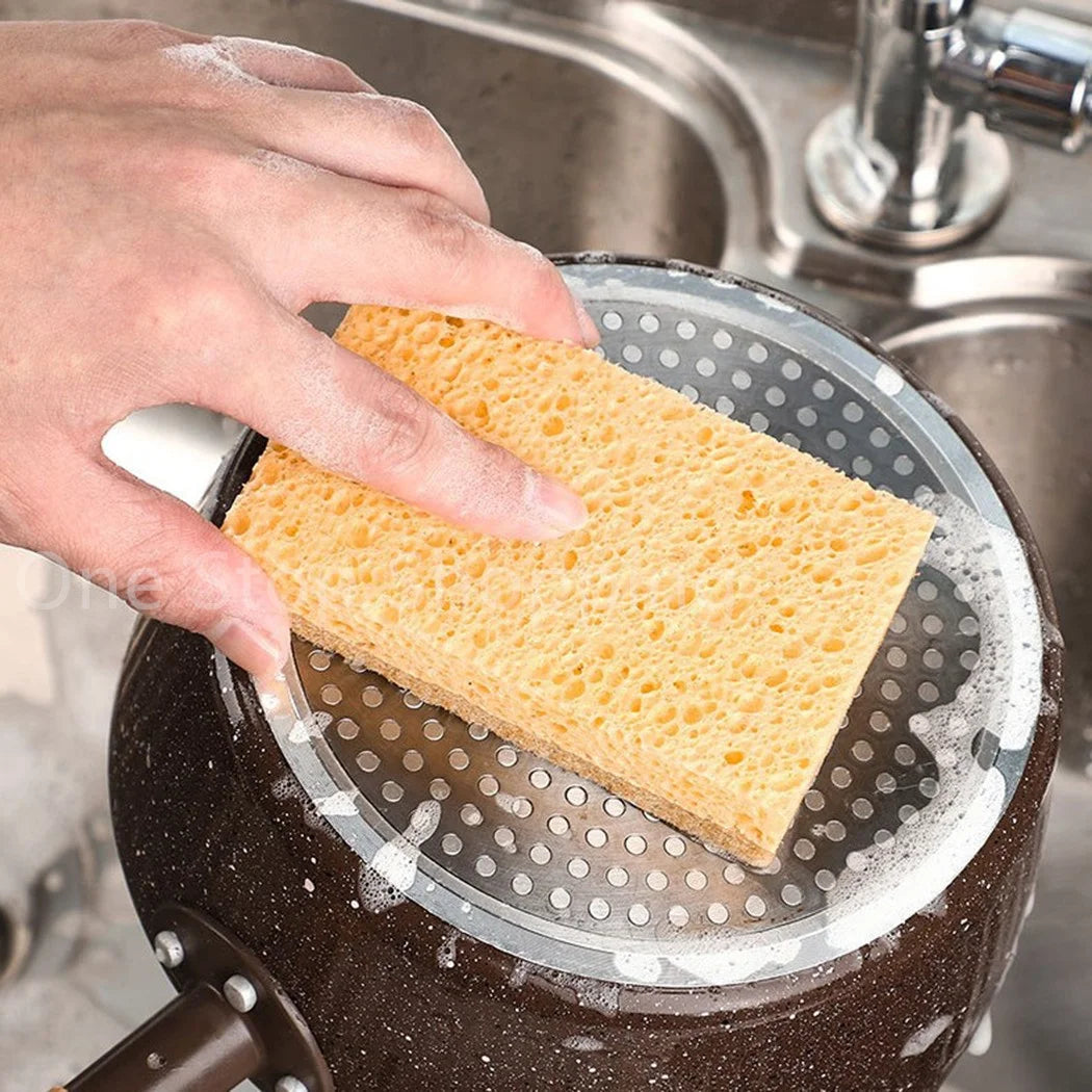 Paquet de 10 éponges naturelles biodégradables éponges de cuisine écologiques pour une vie durable éponge à vaisselle biodégradable à base de plantes