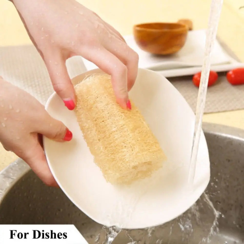 Éponge Luffa naturelle antiarina, bonne absorption, torchons de bain, éponge de douche Linge, plantation de pingouin long, luffa logique, cuisine