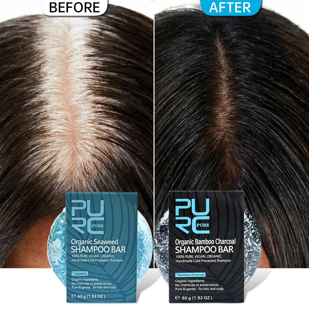 PURC-Shampoing en Polygonum pour Cheveux Gris et Blanc, Barre de Traitement du Cuir oral elu, au Charbon de Bambou de Regina, Solide, 60g