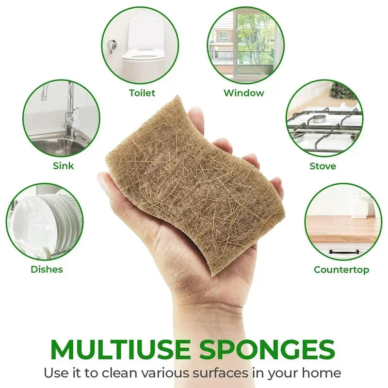 Éponges à récurer les plantes naturelles écologiques et éponge à récurer en noix de coco éponges naturelles pour la vaisselle accessoires de cuisine écologiques