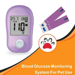 Système de surveillance de la glycémie, compteur de glycémie, pour usage domestique, gestion professionnelle du diabète, accessoires pour animaux de compagnie, clinique