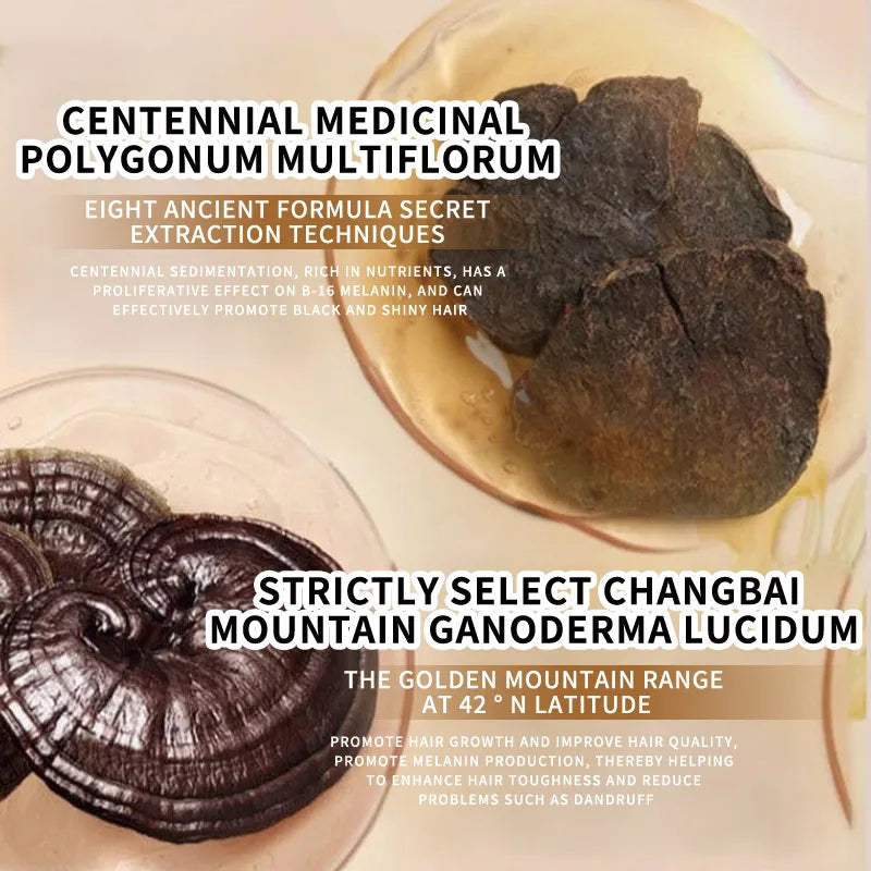 Shampoing naturel pour cheveux noirs, barre faite à la main avec Ganoderma Polygonum Multiflorum, savon nourrissant et brillant pour la croissance des cheveux à base de plantes