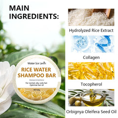 Shampoing au Riz Biologique de Regina, Barre de 60g, Sans Huile, Conditionnement, Eau, Nourrissant, Anti-perte, Croissance des Cheveux, 10000