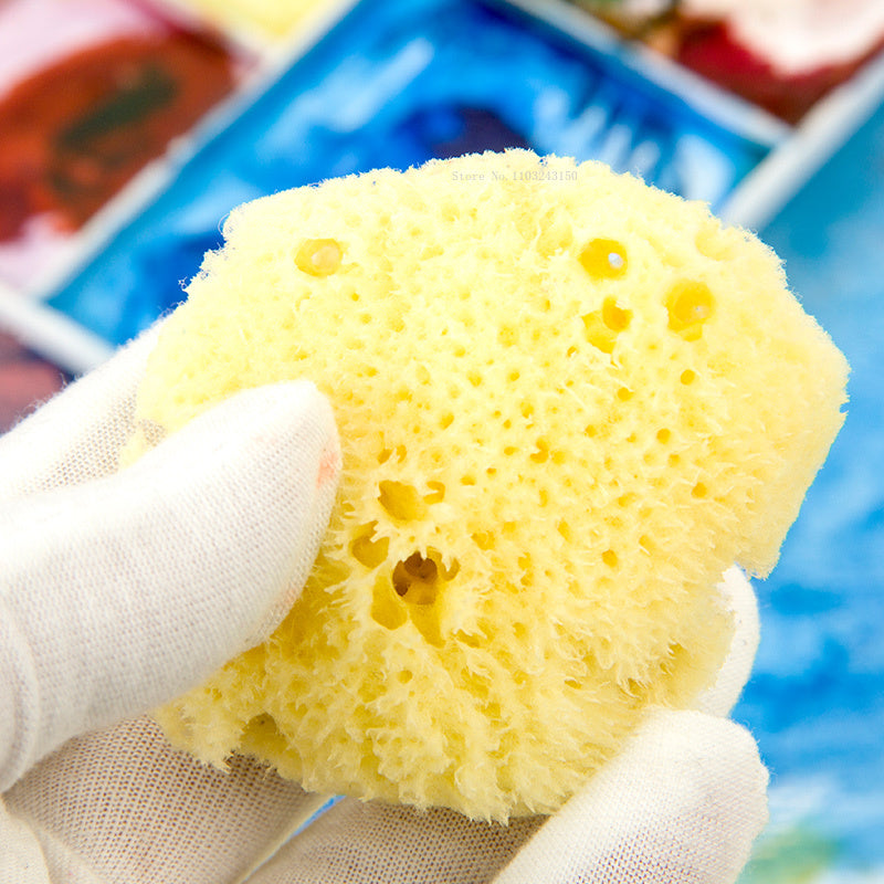 Peinture à l'aquarelle en éponge grecque naturelle, avec éponge absorbante, stylo d'essuyage, outil de nettoyage de Production de Texture spéciale