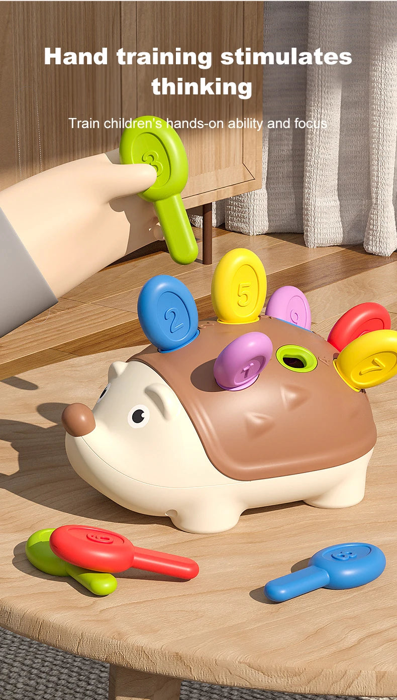 Jouets Montessori pour tout-petits, jouets sensoriels et motricité Fine pour enfants âgés de 18 mois, activités d'apprentissage, jeux éducatifs de hérisson