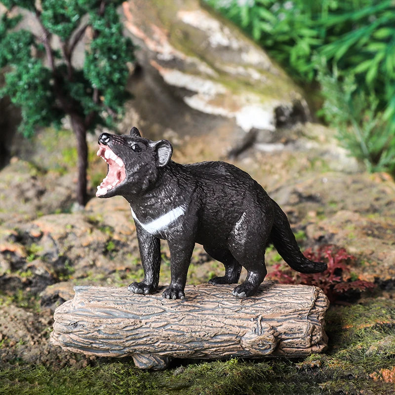 Classic Australian Wild Animals Kangaroos Koala Platypus Tasmanian Devil Echidna Cassowary Model Figurine Toy Child Gift