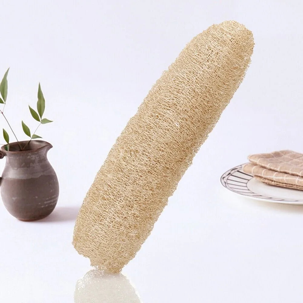Éponge Luffa naturelle antiarina, bonne absorption, torchons de bain, éponge de douche Linge, plantation de pingouin long, luffa logique, cuisine