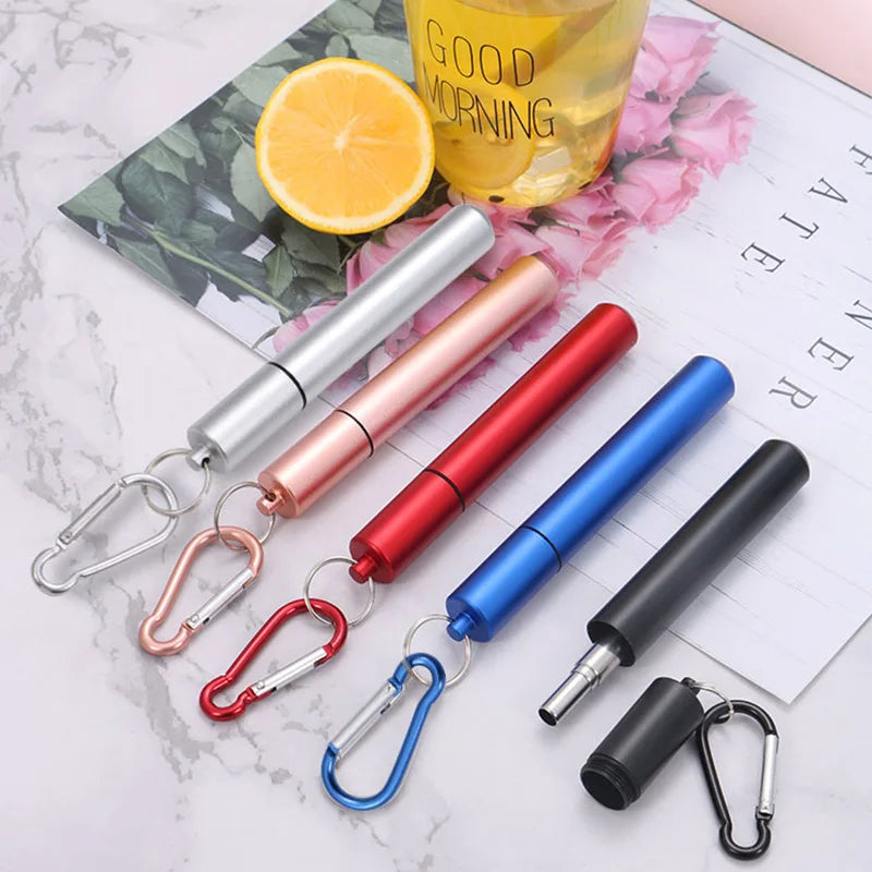 Paille Télescopique Réutilisable en Acier Inoxydable 304, Paille D.lique avec Brosse pour Livres, Ensemble de Pailles à Boire Portables pour Voyage avec Étui