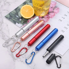 Paille Télescopique Réutilisable en Acier Inoxydable 304, Paille D.lique avec Brosse pour Livres, Ensemble de Pailles à Boire Portables pour Voyage avec Étui