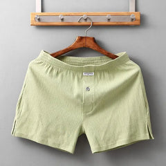 Men's underwear: Stretch cotton boxer shorts, mesh Aro pants, sleepwear, loungewear, boxer shorts, men's briefs, panties