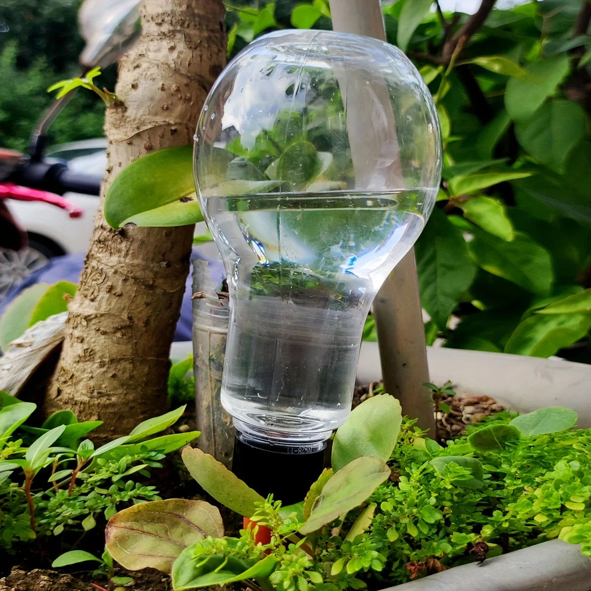 Outil d'arrosage automatique de jardin, dispositif d'arrosage goutte-à-goutte d'intérieur pour plantes d'intérieur, personnes paresseuses, fleurs d'eau