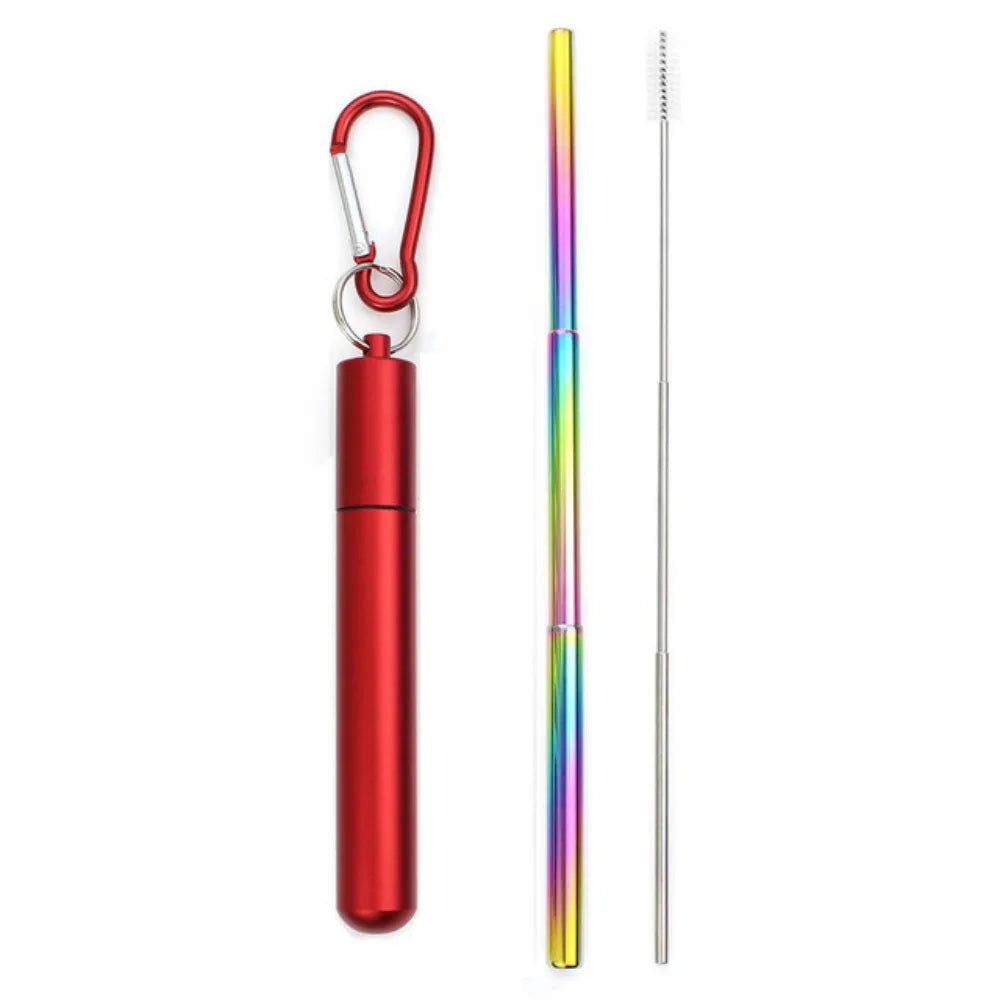 Paille Télescopique Réutilisable en Acier Inoxydable 304, Paille D.lique avec Brosse pour Livres, Ensemble de Pailles à Boire Portables pour Voyage avec Étui